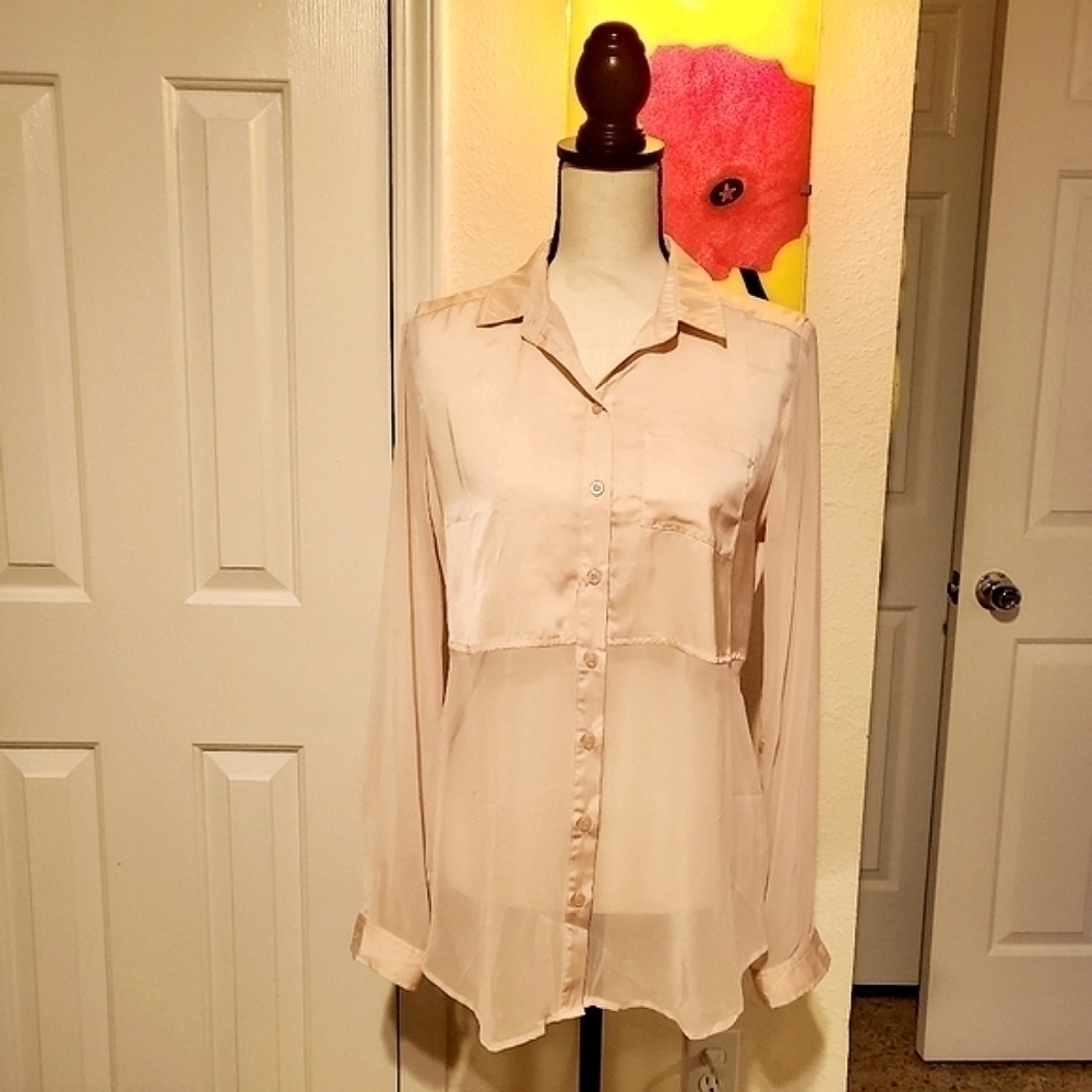 Free People | Sheer Pink Blouse
